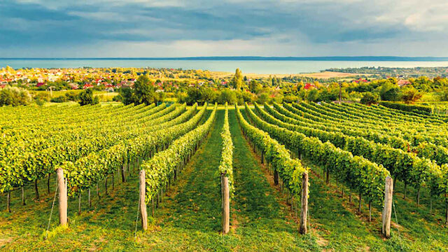 Balatonfured-wine.region