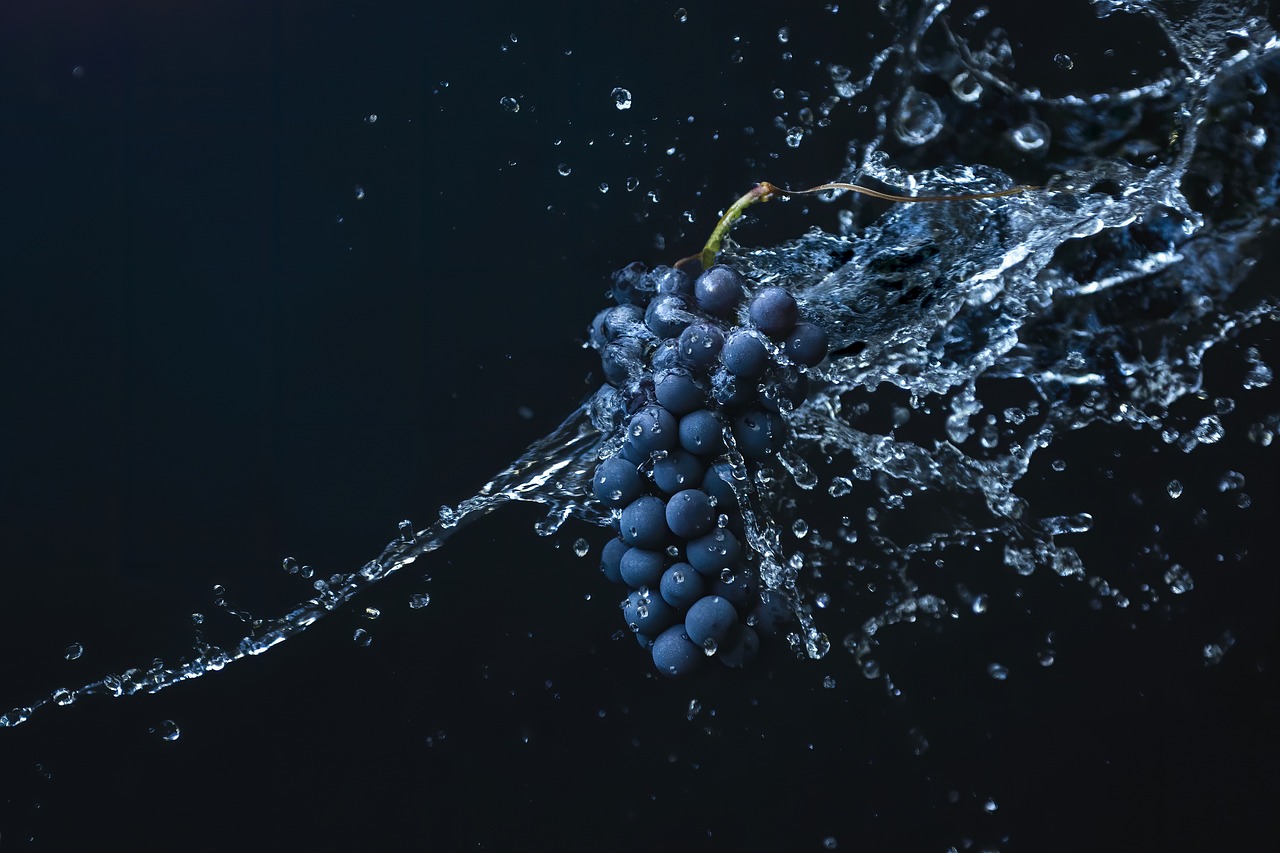 Winespiritstore-2