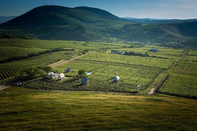 eger-wine-region