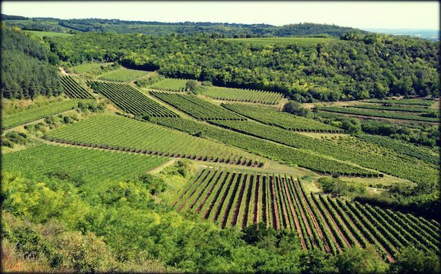 szekszard-wine-region